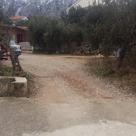 Bikic Apartamento